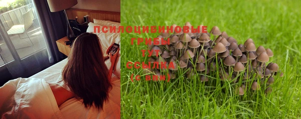 мяу мяу кристалл Верея