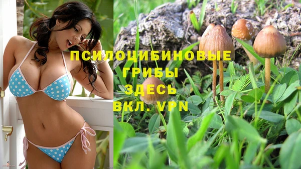 мескалин Верхний Тагил