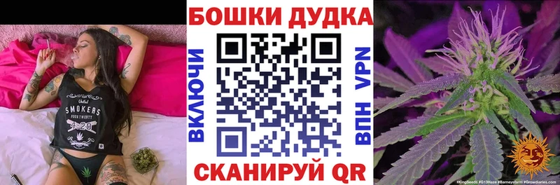 Бошки Шишки Amnesia  сколько стоит  Тверь 